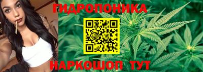 скорость mdpv Гай